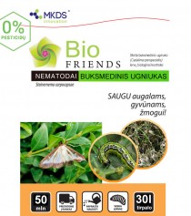 Nematodai BUKSMEDINIO UGNIUKO lervoms (Steinernema carpocapsae) 3x50 mln/100m²